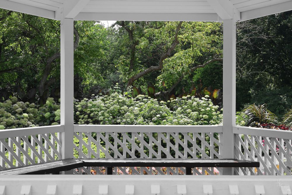 View from a white gazebo overlooking lush greenery and blooming hydrangeas in a garden. A black bench is visible in the foreground, creating a serene outdoor setting.