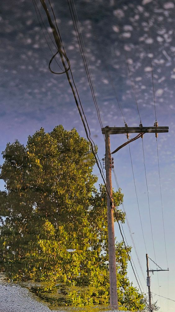 The image depicts a reflection in a puddle of a telephone pole and trees against a partly cloudy sky. The telephone pole, positioned toward the right side, has several wires extending across the image. A large tree, lush with green leaves, occupies the left portion. The sky is a mix of blue and gray, with scattered white clouds that create a textured appearance. The reflection suggests a calm setting with the surface of the puddle slightly rippled, adding a distorted, dreamy quality to the scene.
