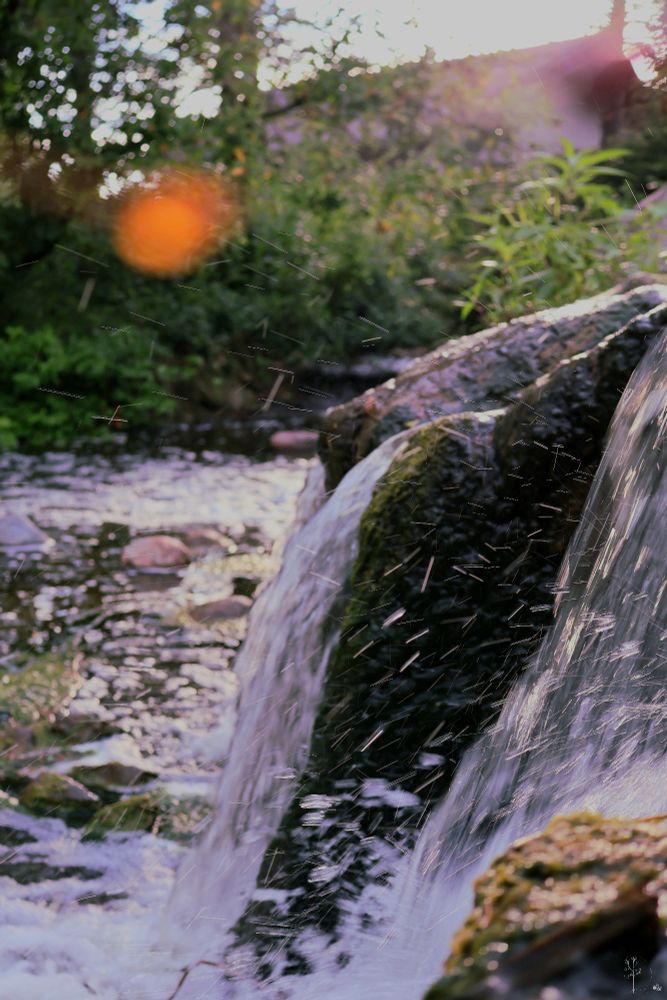 A close-up photo of a small, rocky waterfall flowing into a gently moving stream. The water cascades down moss-covered rocks, with individual droplets frozen in motion, creating a dynamic, sparkling effect. In the background, lush green foliage surrounds the stream, softly blurred by the depth of field. Sunlight filters through the trees, casting a warm glow and producing a faint lens flare near the top left corner, adding a dreamy atmosphere to the natural scene.