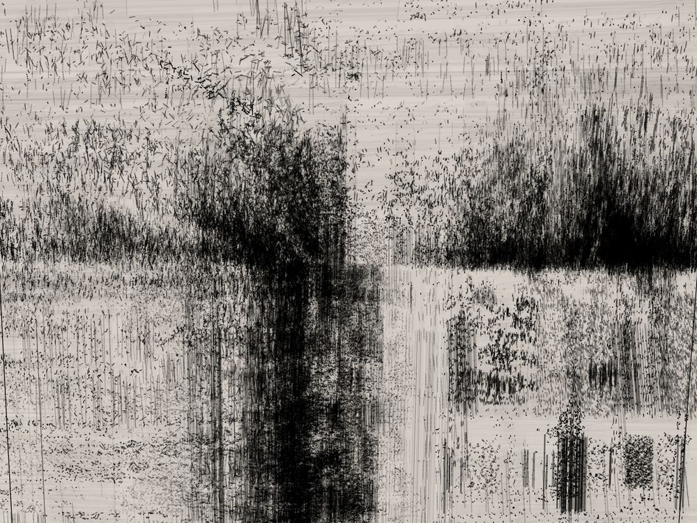 Abstract black and white digital artwork with chaotic vertical and horizontal lines forming a dense, textured composition. The image features a central dark vertical band flanked by lighter areas, evoking a distorted forest or reflection. The patterns resemble static or glitch effects, creating a sense of motion and fragmentation across the canvas.