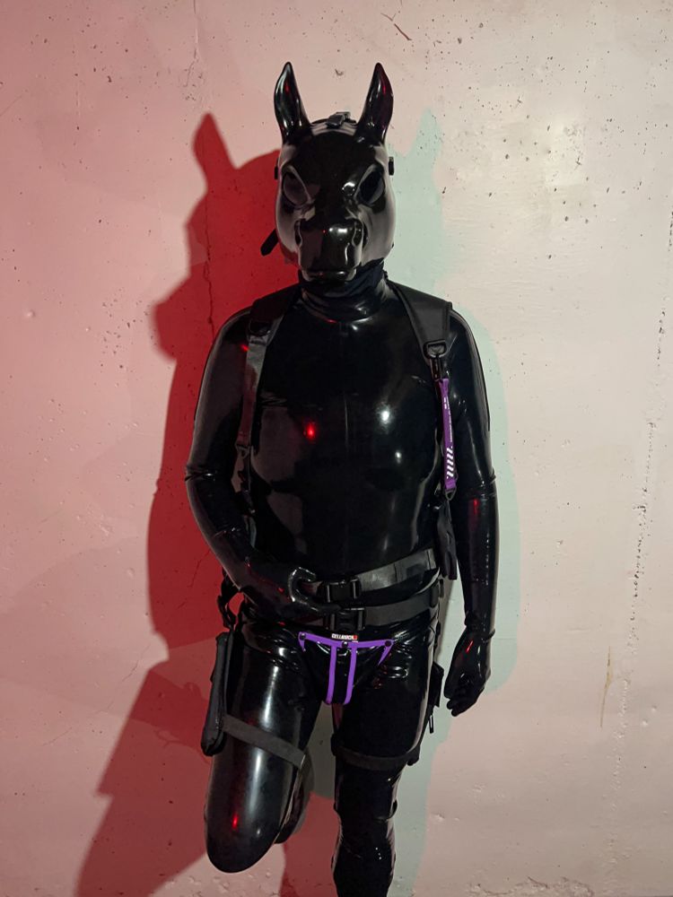 Photograph of a latex pony drone leaning against a wall, a red hue illuminating the stage right half of it