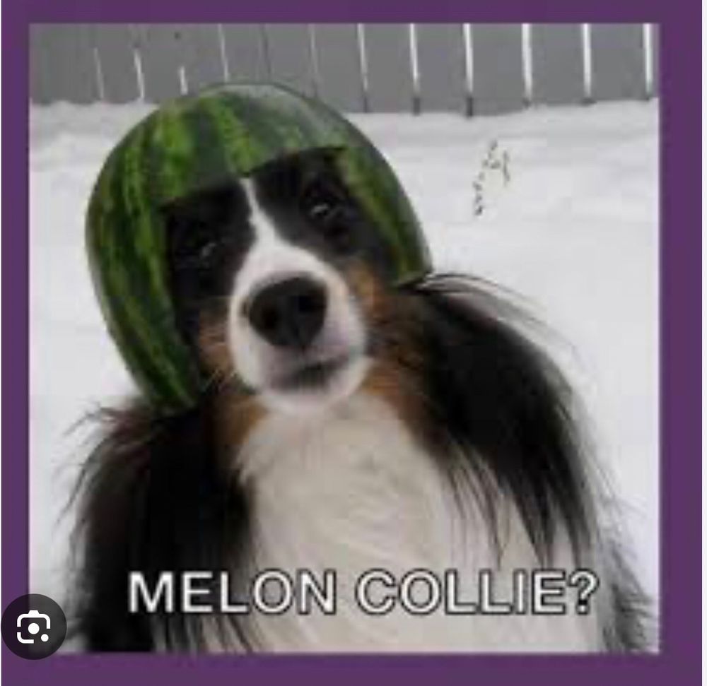 Comment image