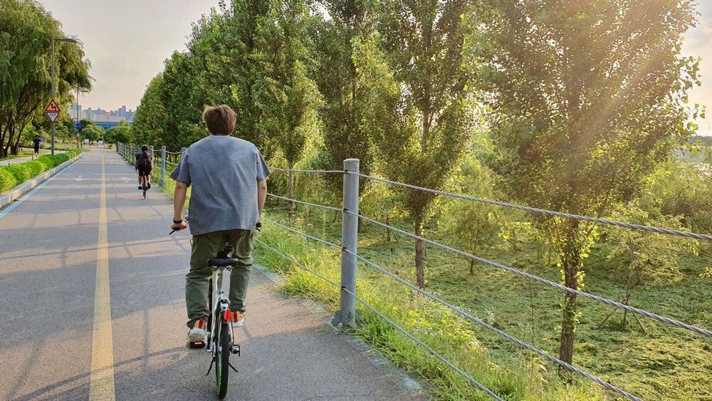 自転車に乗るナムの後ろ姿。