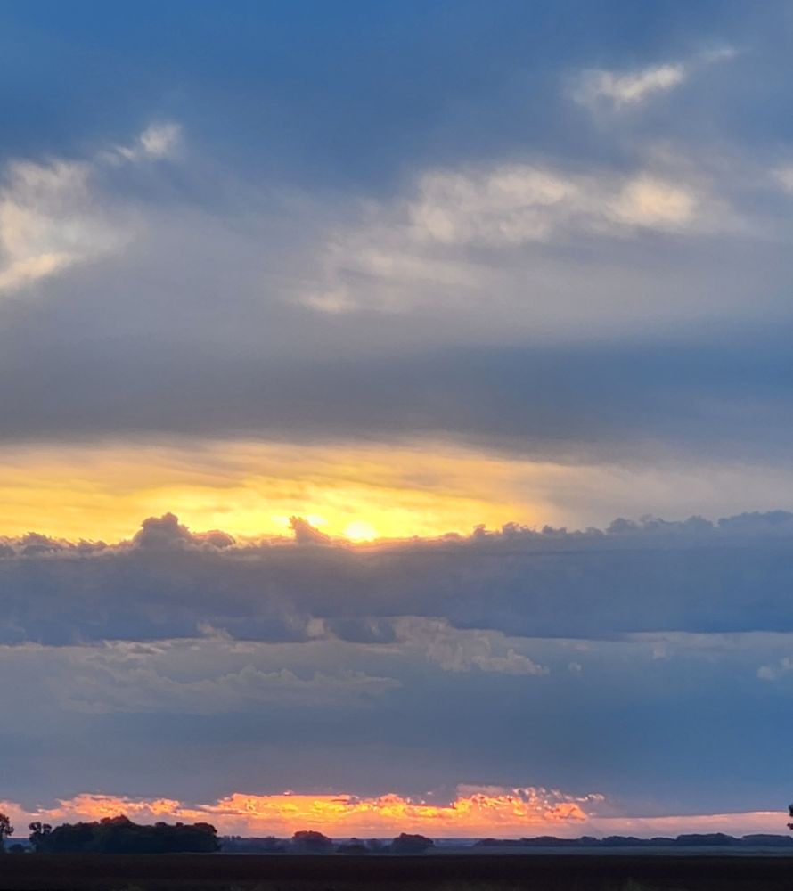 Morning sunrise behind the clouds. A row of trees on the ground. 