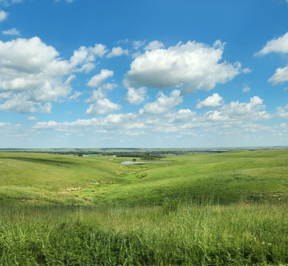 Photo of a green grass prairie with a pond in the background. Bright blue sky with lots of fluffy clouds.