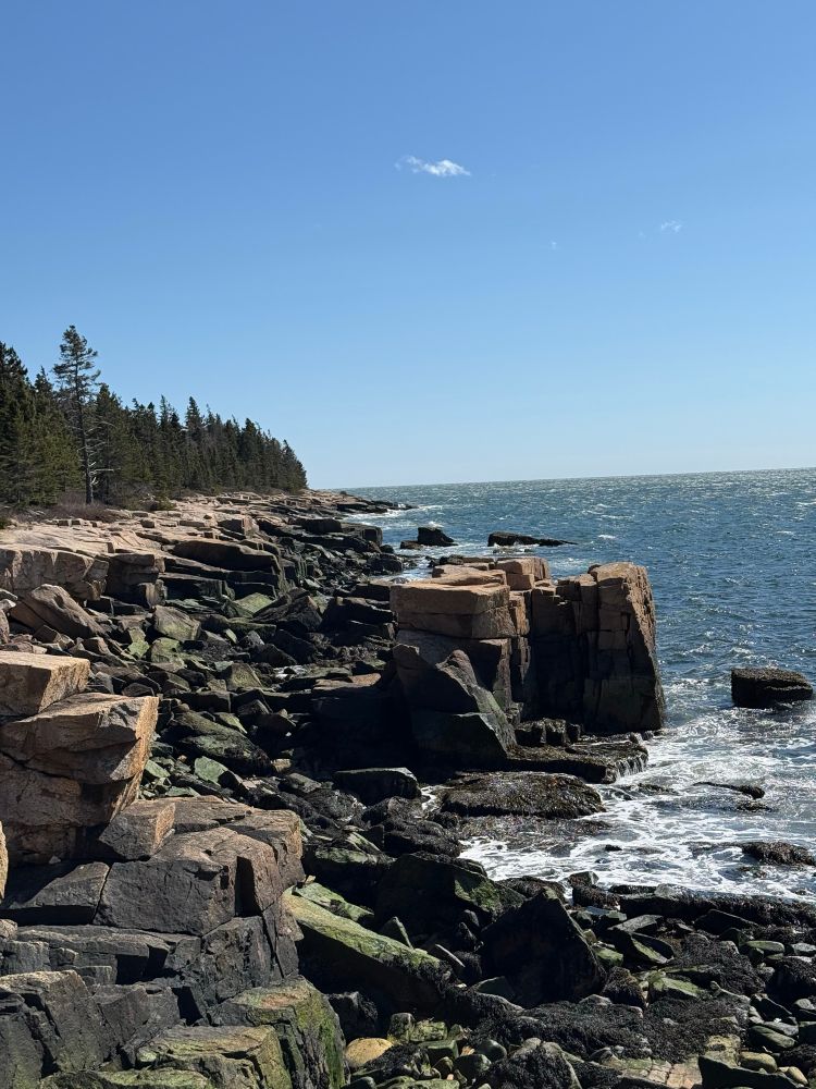 Photography of Acadia coast in Maine with water, rough stone coast, and tree line. 