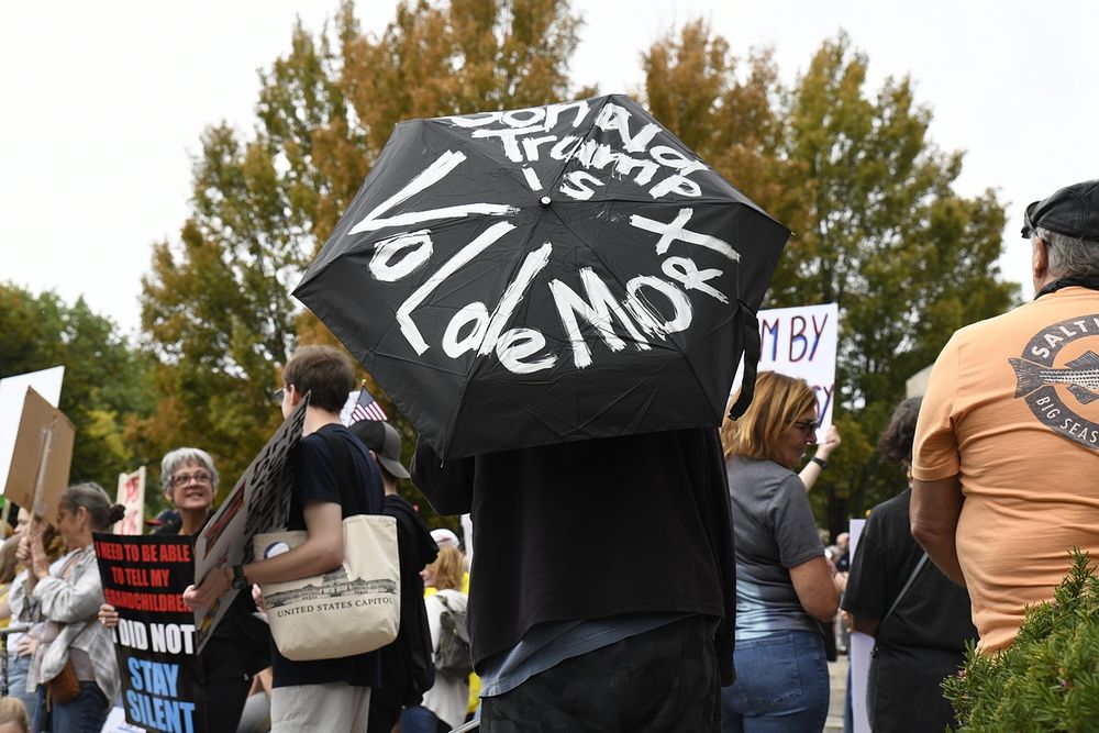 No Kings 10/18/25 - Springfield, Illinois
Favorite Signs