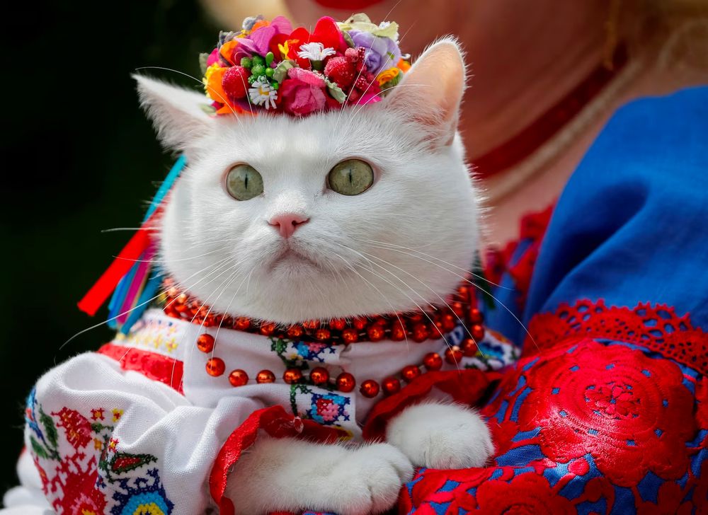 A woman dressed in a traditional Ukrainian embroidered shirt holds her cat as she take part in an embroidered shirt parade in central Kiev, Ukraine, May 27, 2017. REUTERS/Gleb Garanich/File Photo