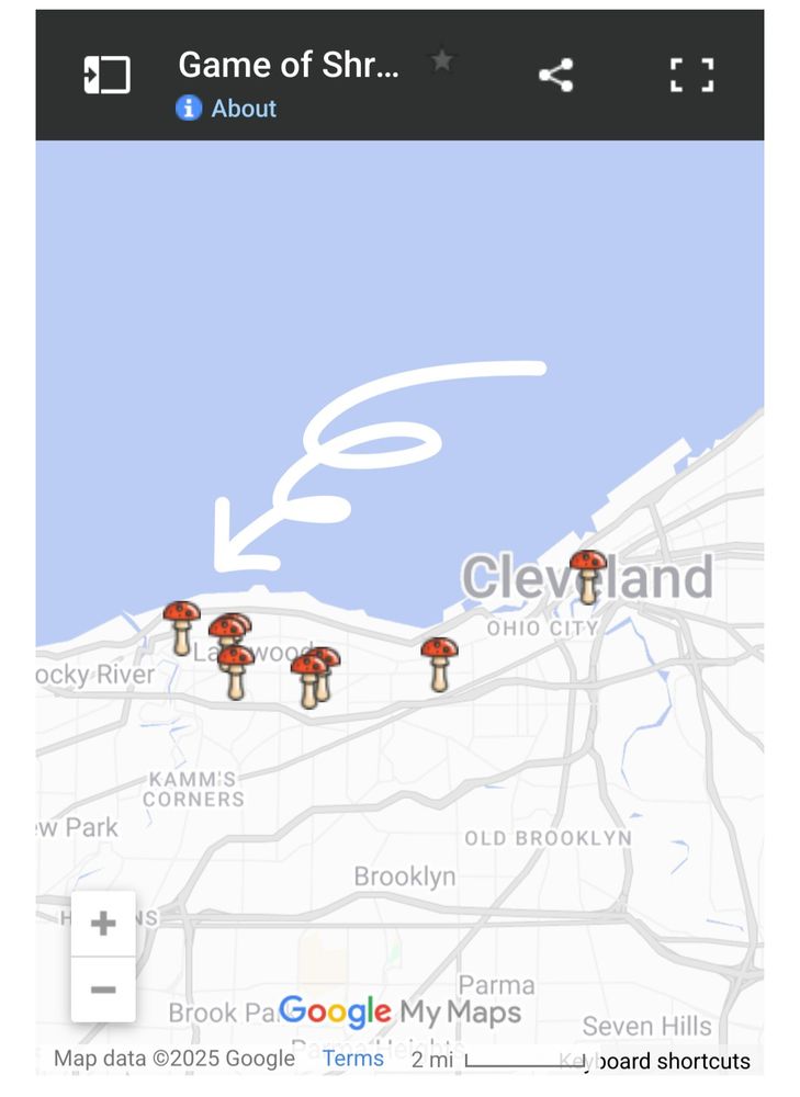 A map of Cleveland, Ohio, with mushroom shaped pins indicating artists participating in Game of Shrooms. A pin in Lakewood, Ohio, is highlighted by an arrow.