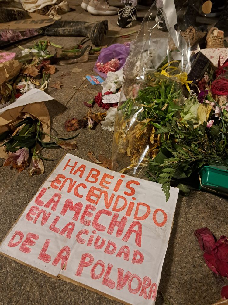 En la foto se observan ramos de flores en el suelo de la plaza del Ayuntamiento de Valencia por los muertos de la DANA. Junto a las flores hay una pancarta pequeña de cartón, donde pone: "Habéis encendido la mecha en la ciudad de la polvora". Foto tomada durante las manifestaciones contra el presidente de la generalitat valenciana: Carlos Mazón