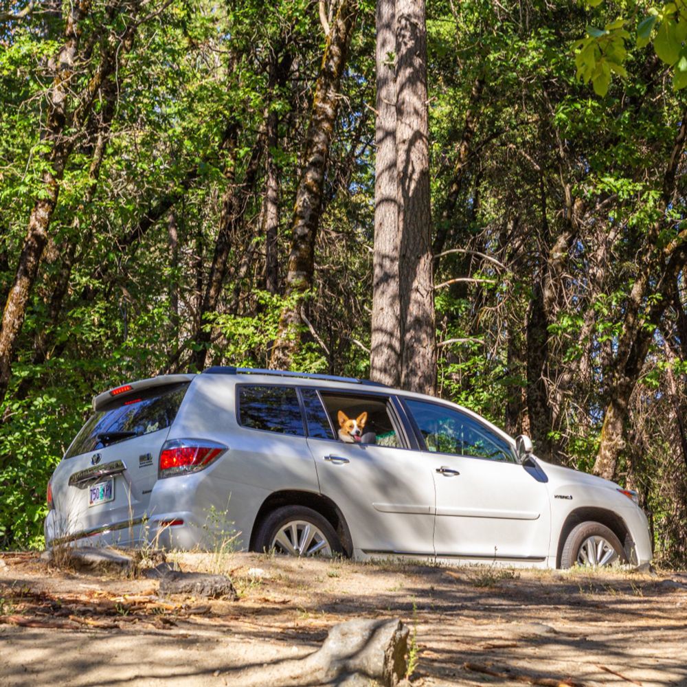 photo of my dad's 2nd Highlander, a 2013 Hybrid Limited, it was photographed by me at a state park, our corgi Ripley is smiling out the window from the back seat