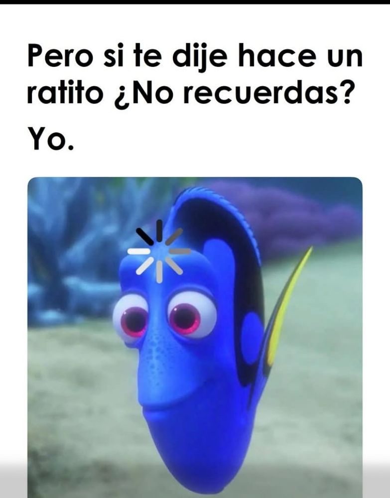 No recuerdo ni qué desayuné, menos qué dijiste 🐟🤔💭🙇🏻😂.