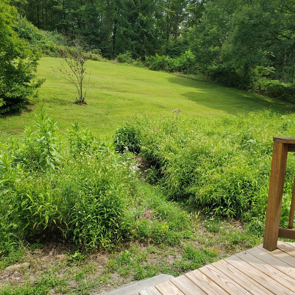 A view of an overgrown flower bed & otherwise manicured lawn from a wooden deck.