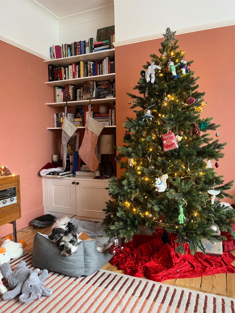 a cosy scene of a very adorable dog napping in a dog bed next to christmas tree, underneath two stockings. 