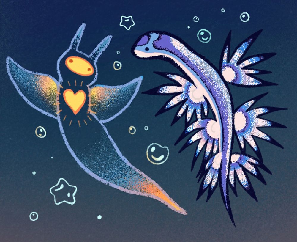 A sea angel and a glaucus atlanticus.