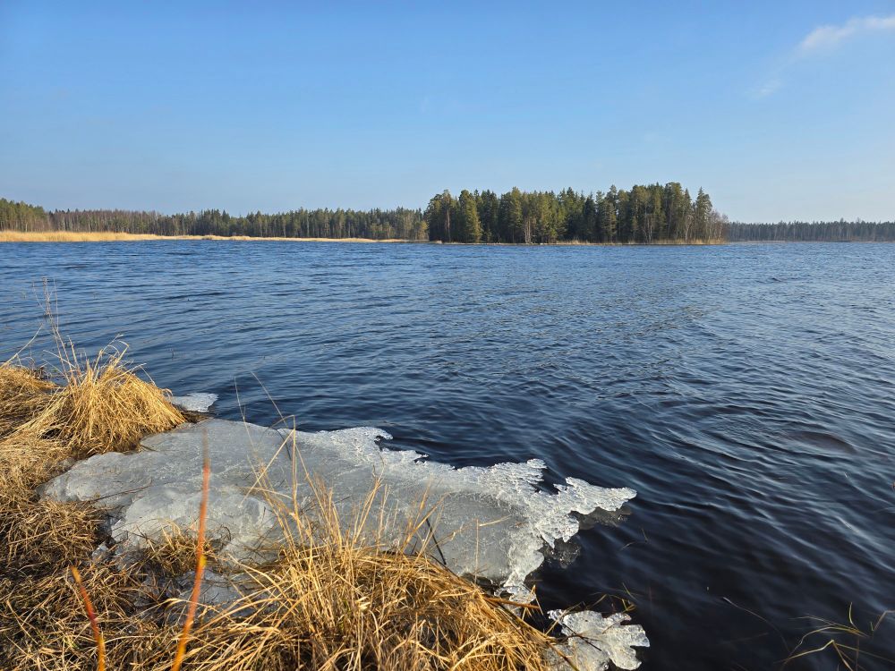 Koskeljärvi in South-Western Finland. Last bits of ice in late March 2025