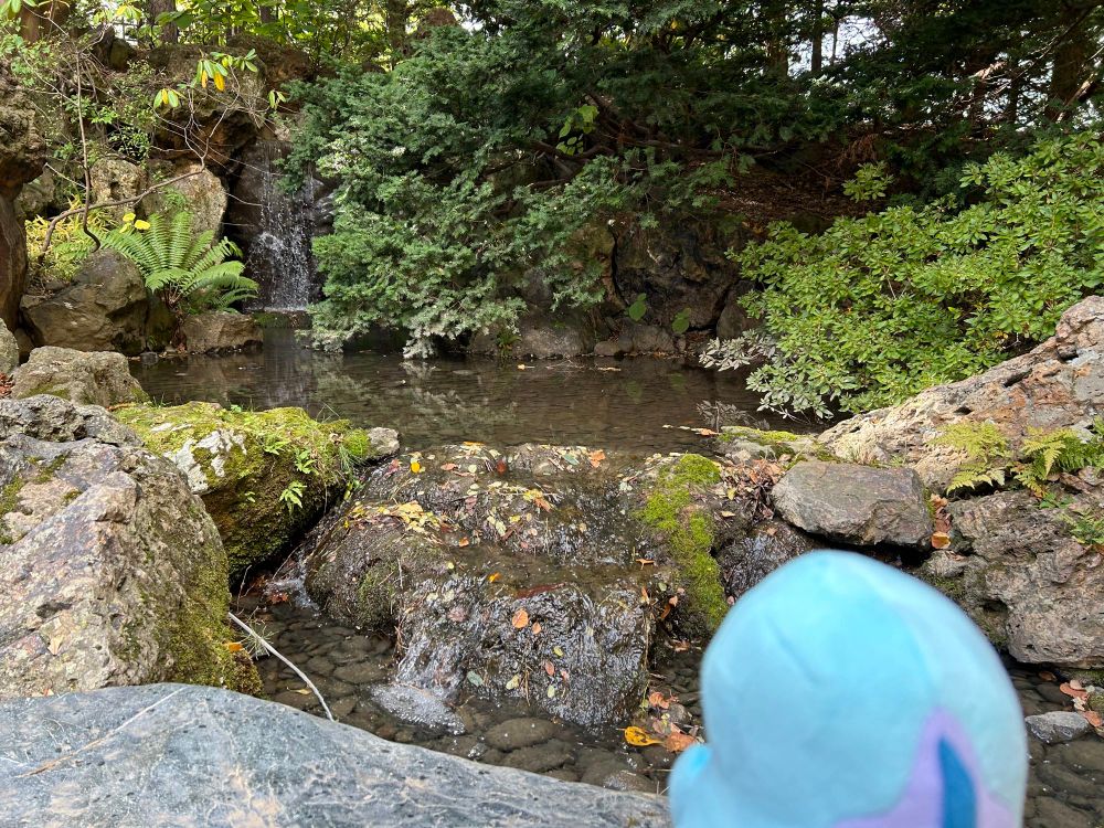 中島公園内の静かな水場とヌオーのぬいぐるみの写真。やはり水場に合う。