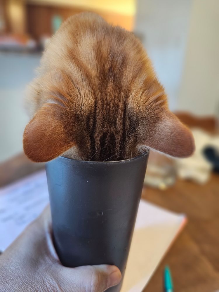 Frank sticks his head in dad's water cup