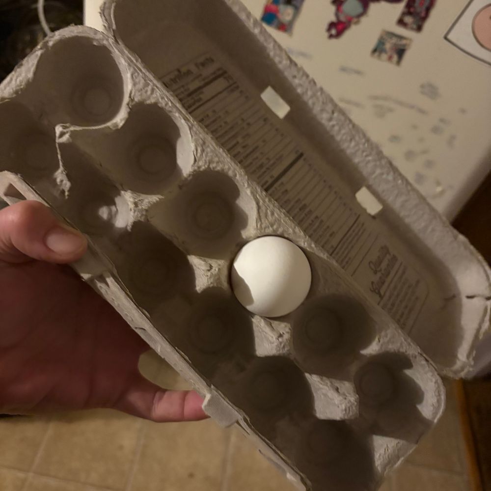 A picture of the egg carton that has lived in my fridge for longer than one might still even think is a bit long. There is one (1) egg
