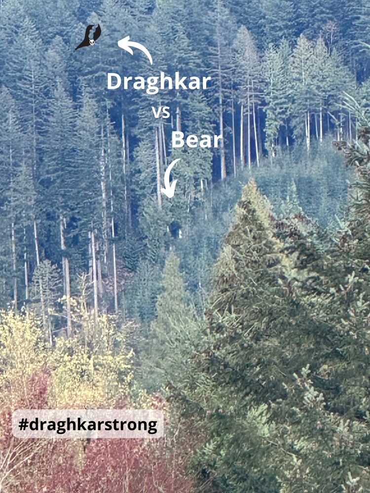 An adorable cartoon draghkar is flying over trees and a black bear/black blob is in the open area below. 