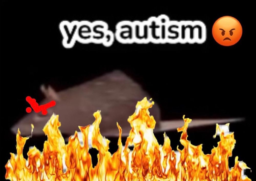 an angry rat behind flames, text about it says yes, autism 😡