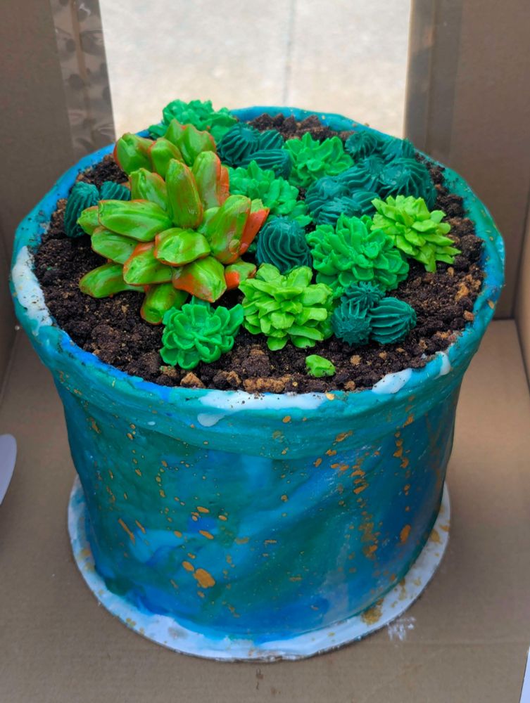 A cake that looks like a blue and green planter with gold specks, with succulents planted in soil