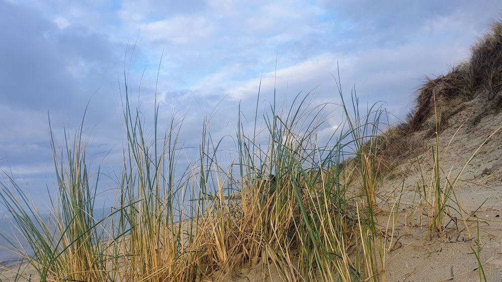 Düne mit Gras an der Nordsee. Der Himmel ist blau, durch die Wolken bricht die Sonne. Das Bild entstand bei einem Spaziergang am Vormittag.