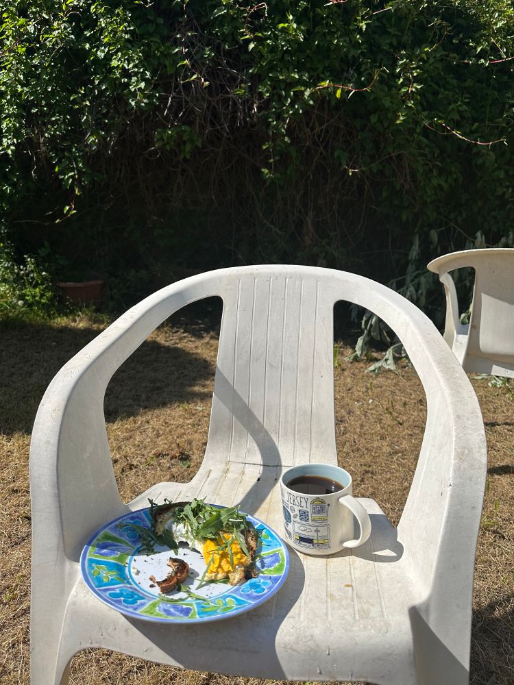 Picture of Francis’ back garden. A piece of toast with eggs and rocket is on top of a blue, white, green and purple patterned plate with a white centre. A white “New Jersey” themed mug is full of black coffee. A white plastic chair is being used as a table, and another one is in the background.