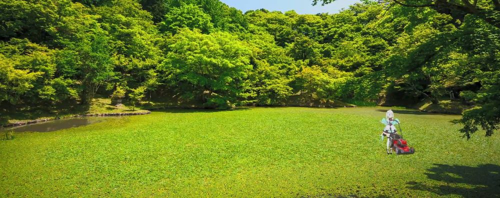 At first glance it appears as if this is a field of grass with ghost maid vtuber Mint Fantome pushing a lawn mower over it. On closer inspection, however, it is revealed that this is a pond covered in a layer of green slime. Mint may or may not know this 