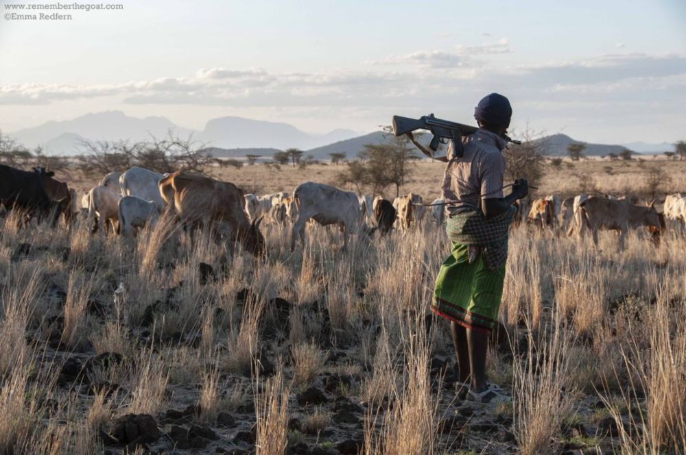 Money and land, the roots of violence in Northern Kenya. - DARE - Development Assistance for Rural Education Kenya