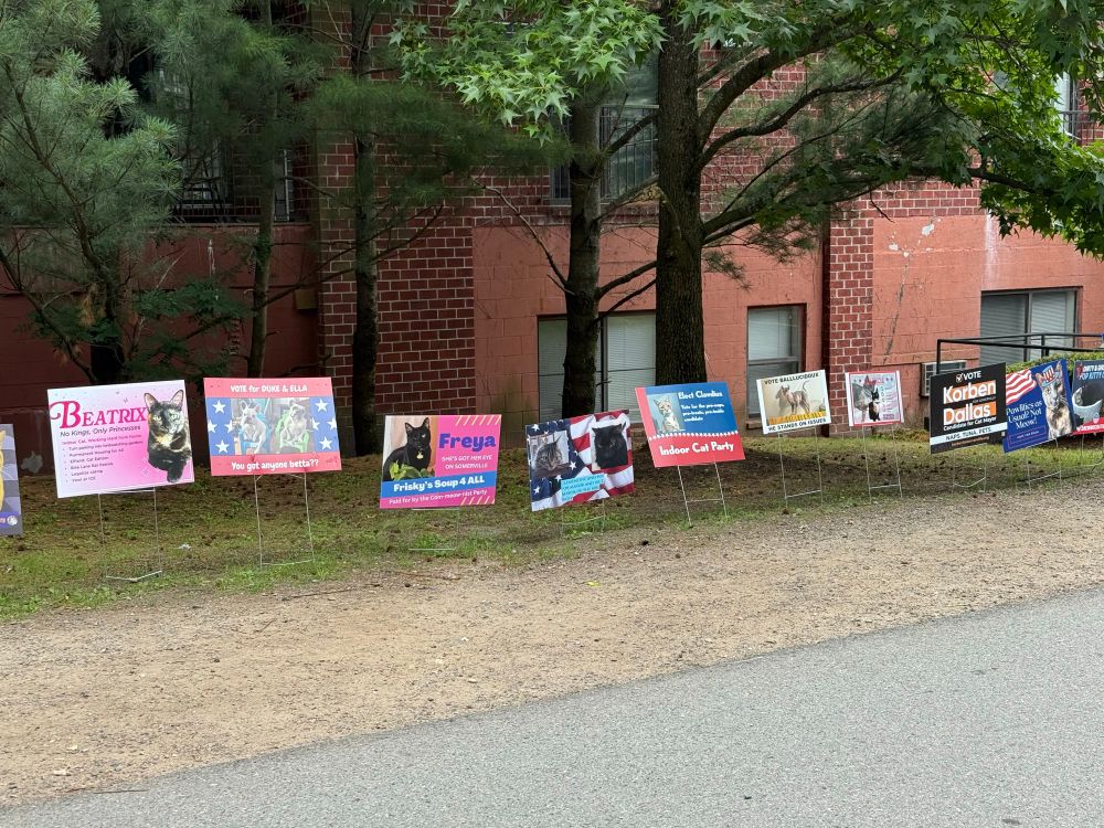 9 brightly colored election style signs advocating voting for different pets, along a paved bike path