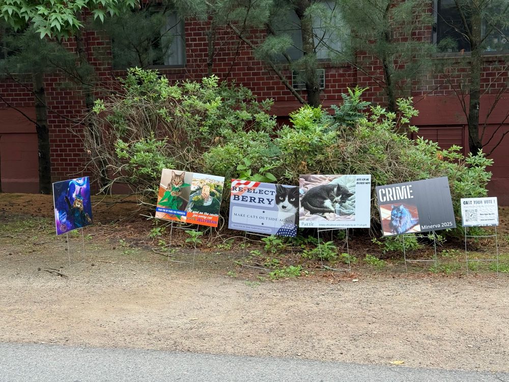 5 brightly colored election style signs advocating voting for different pets, along a paved bike path