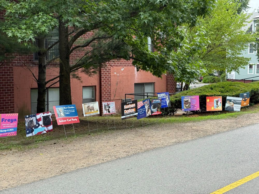 13 brightly colored election style signs advocating voting for different pets, along a paved bike path