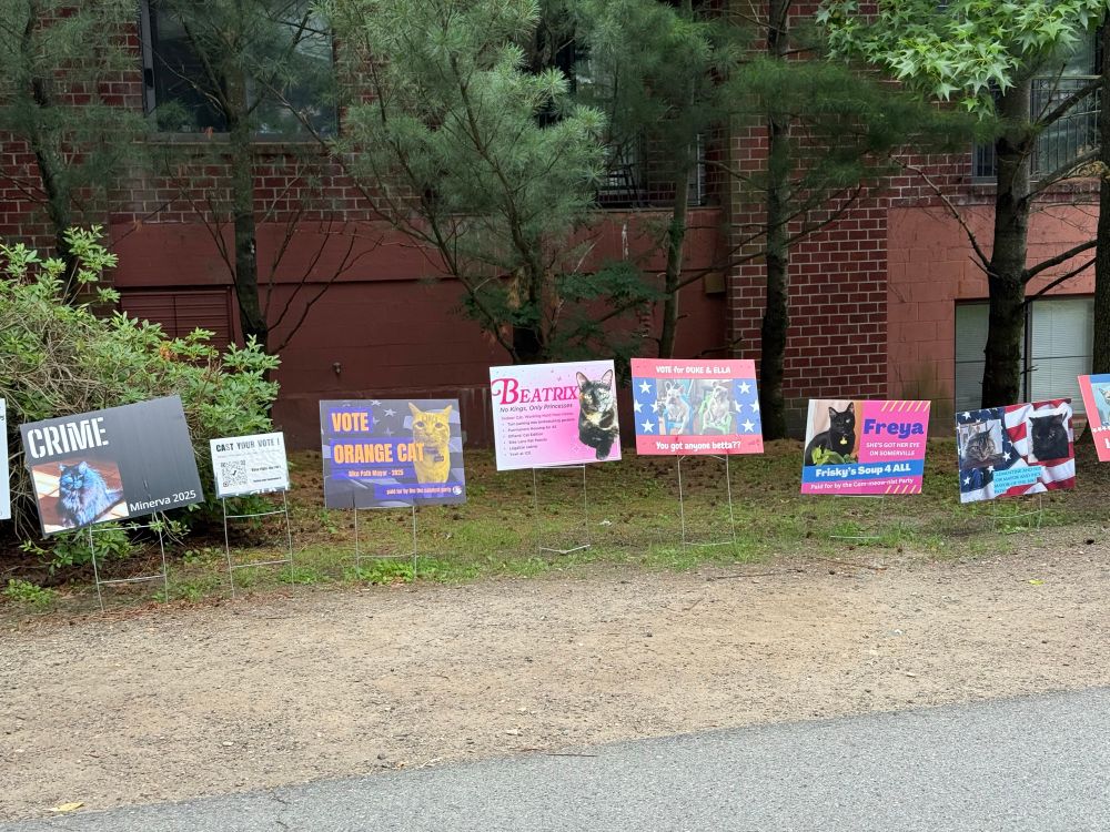 5 brightly colored election style signs advocating voting for different pets, along a paved bike path