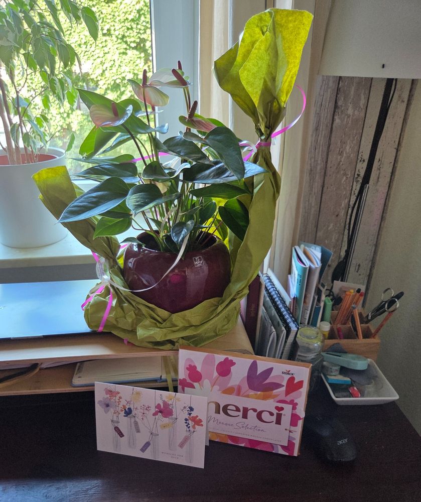 Blumen, Schokolade und Grußkarte als Dankeschön vom Team.