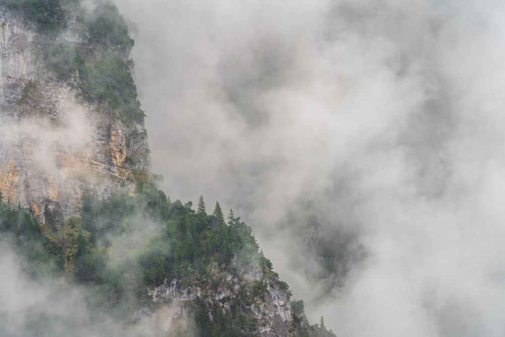 Heavy clouds fill a valley, and across from it is a step cliff covered in deep green conifers. 