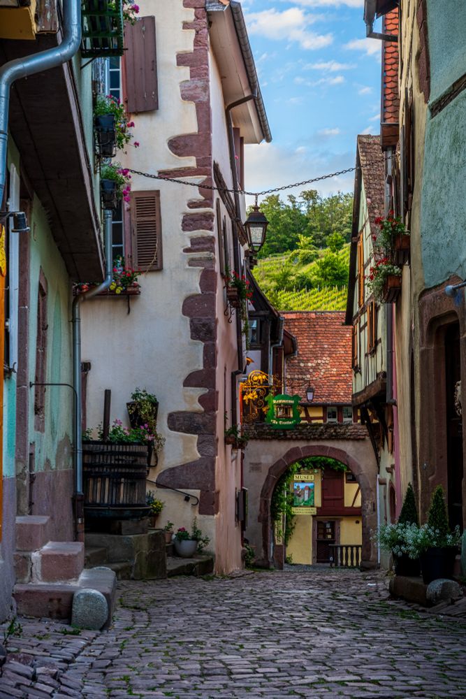 A cobbled street lined with timber framed houses that look like they are from a fairytale. An old timey street like hangs above the street and in the distance is a green hill covered by a vineyard. 
