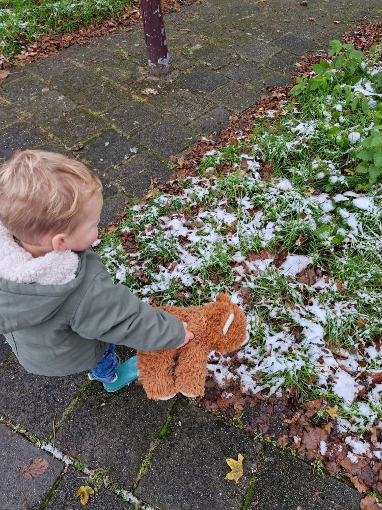 Kijk beer, er ligt sneeuw
