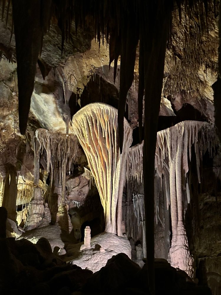 Parachute shield in Lehman cave