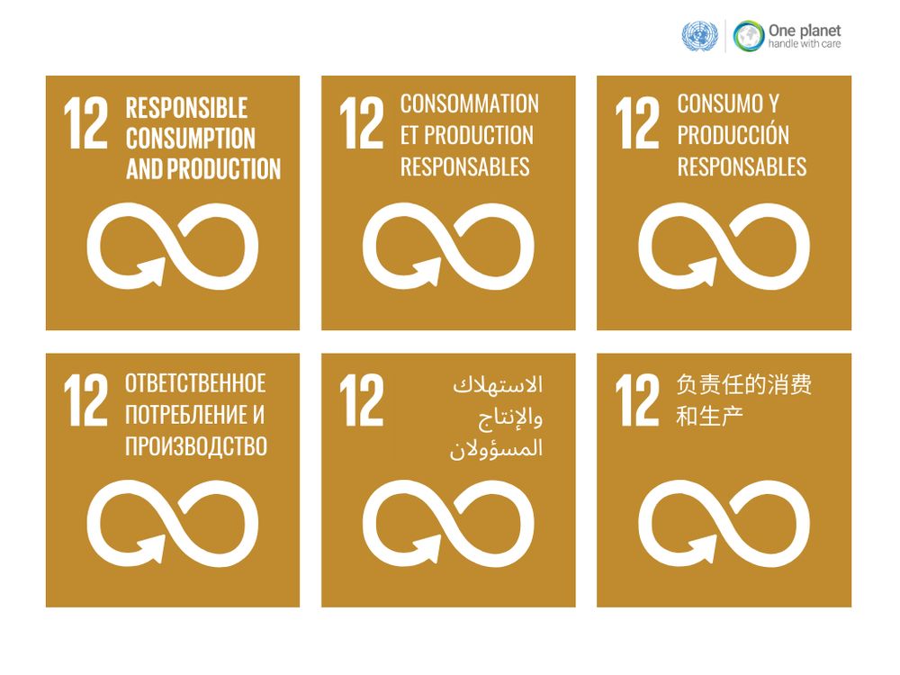 SDG12 is the 5 main UN languages