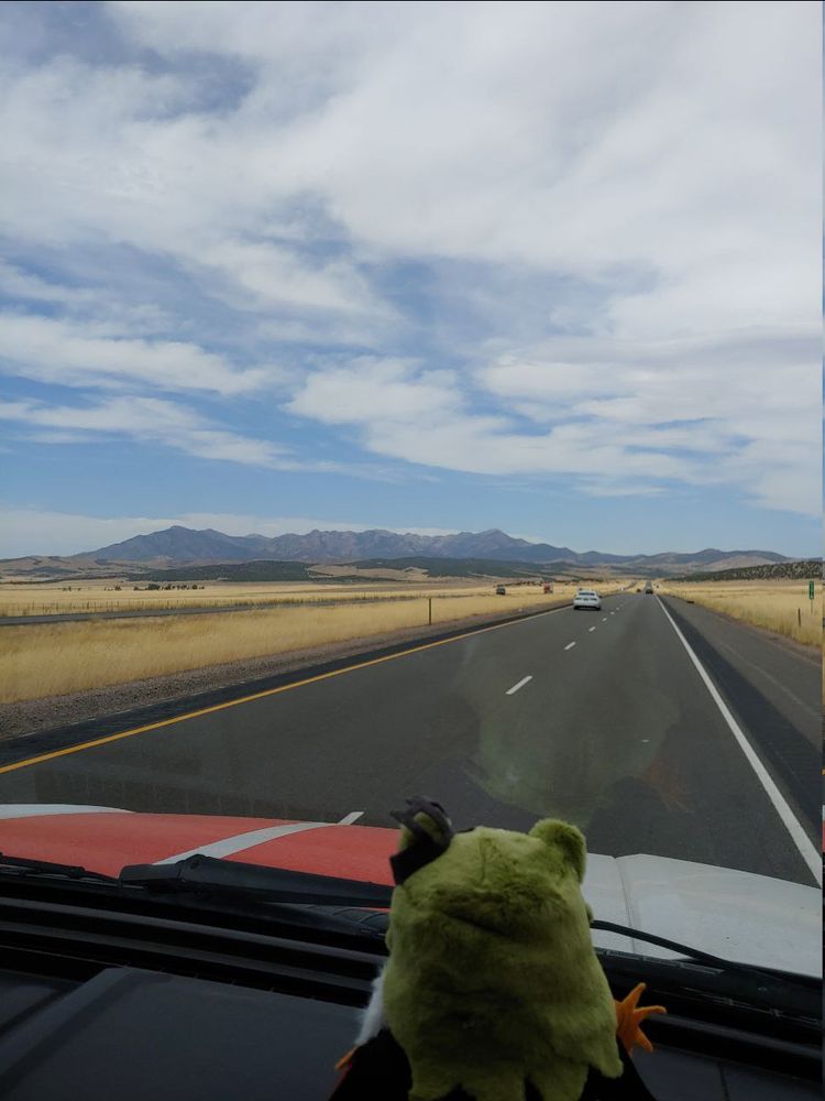 Girl_DM_ nui staring a mounatin