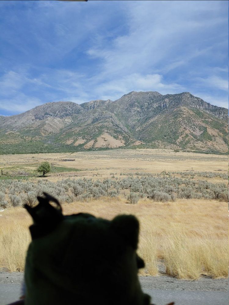 Girl_DM_ looking out the window at a mountain.