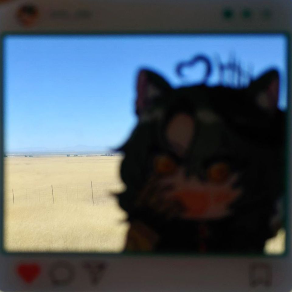 Girl_DM_ Overlay with a yellow field in the background.