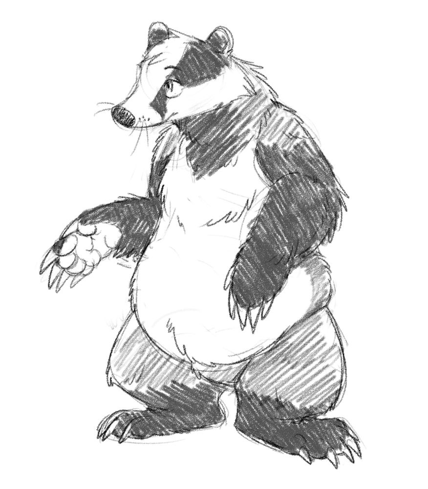 A drawing of an anthro badger.