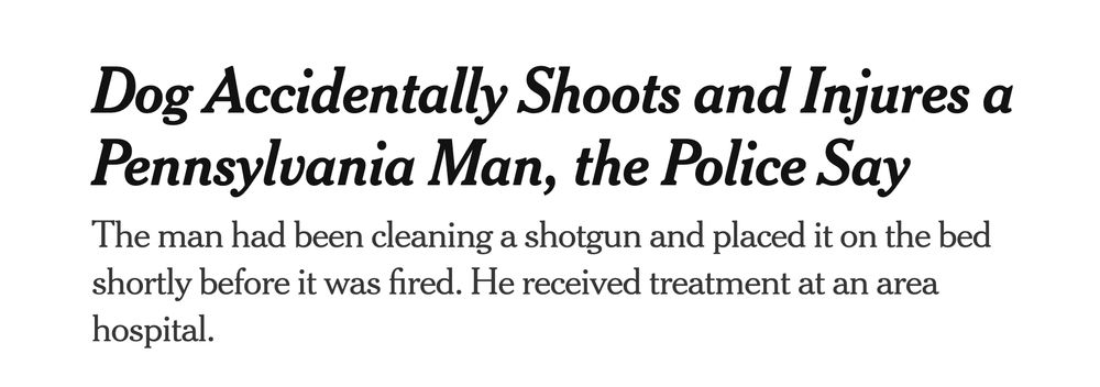 Dog Accidentally Shoots and Injures a Pennsylvania Man, the Police Say

The man had been cleaning a shotgun and placed it on the bed shortly before it was fired. He received treatment at an area hospital.