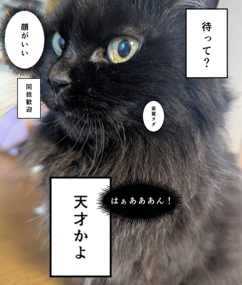 スタンプを貼れるだなんて…！