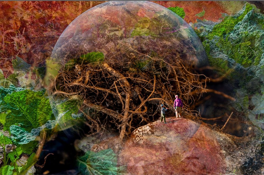 small figures of a boy and a man standing on an orange, surrounded by green foliage [cabbage leaves] with the earth as a backdrop.