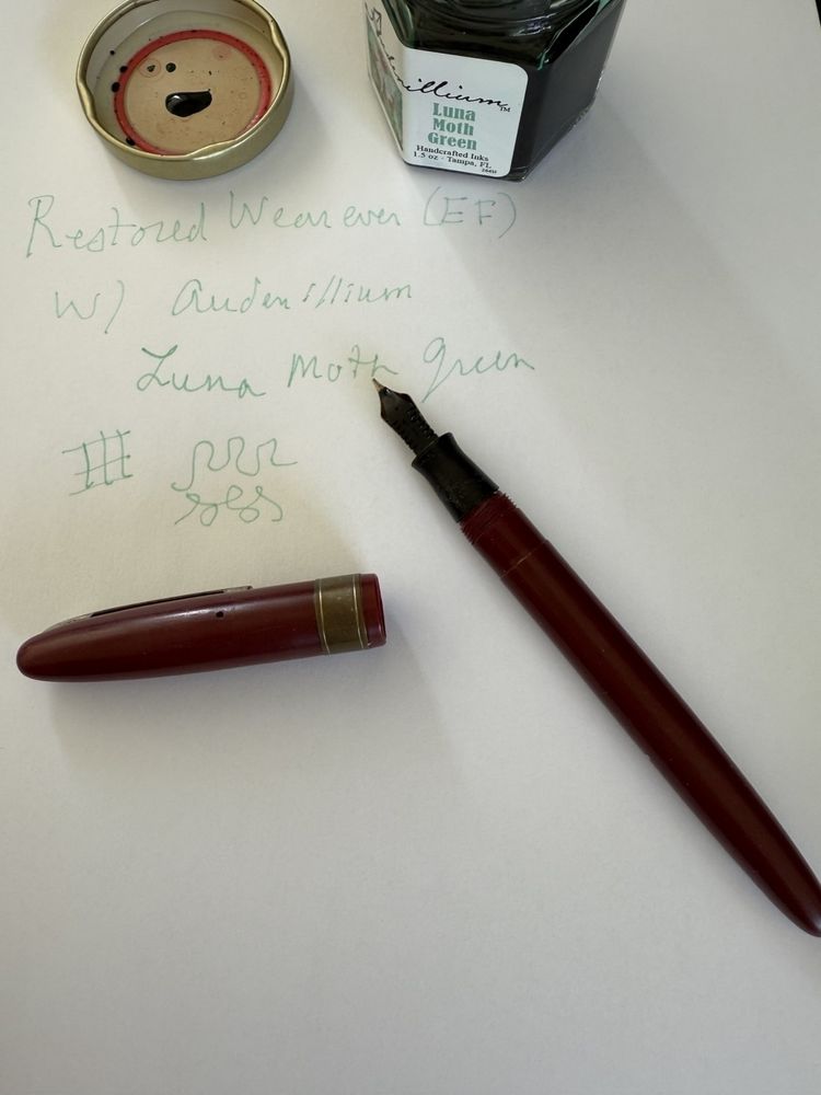 Fountain pen and ink 