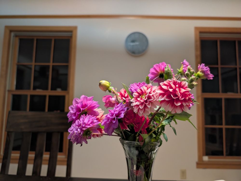 A vase of purple and red-white dahlias and red-yellow and yet-to-bloom snapdragons