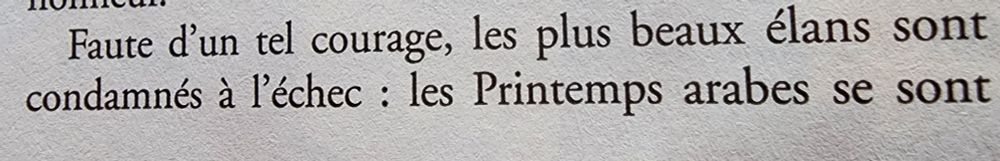 
« Faute d’un tel courage, les plus beaux élans sont condamnés à l’échec : les Printemps arabes se sont ...»